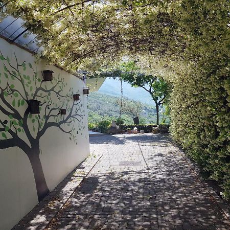 #Ioniahouse Surrel Villa Τίρανα Εξωτερικό φωτογραφία